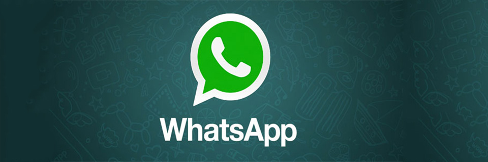 whatsapp gibi programlar